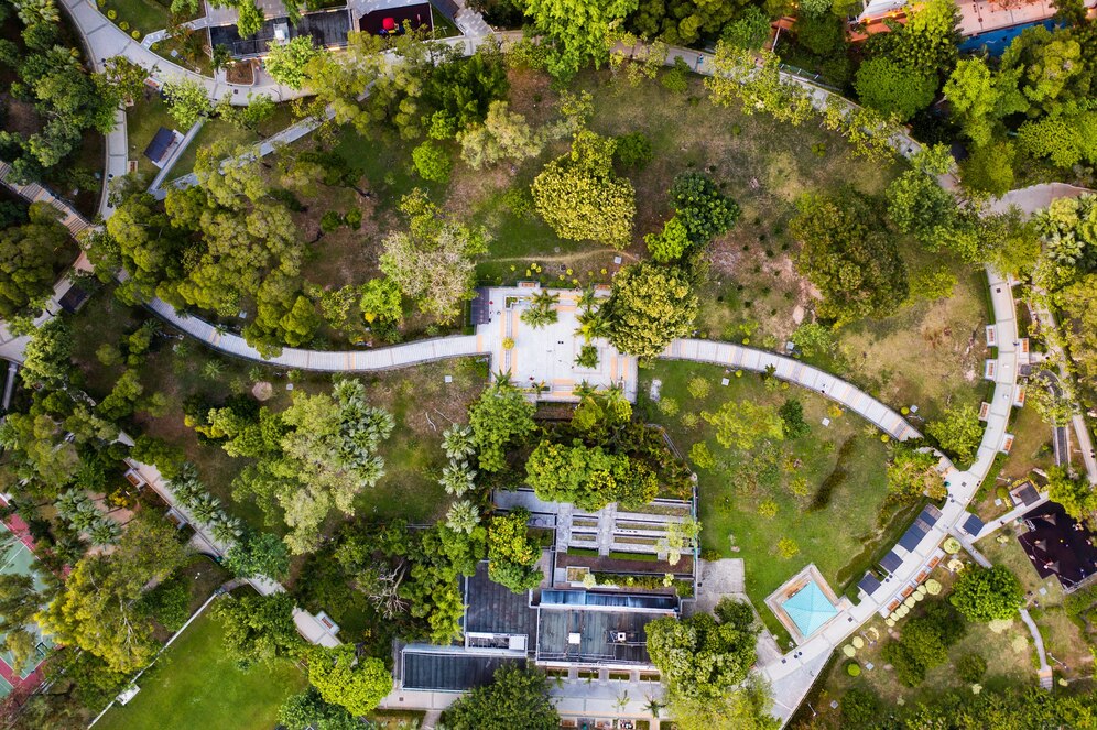 Maison en vue aérienne avec de la végétation